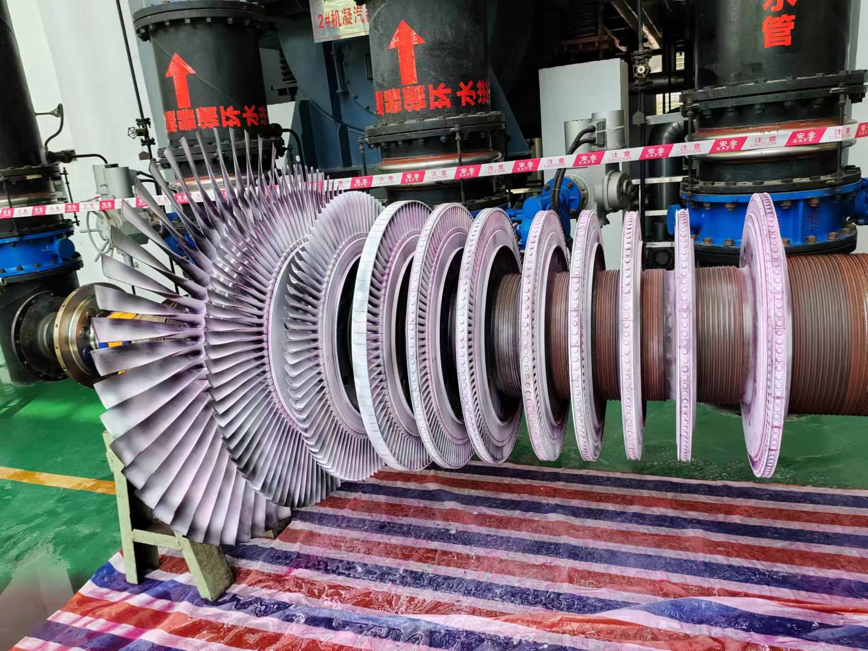 1697791596119516.jpg 1697791596119516.jpg