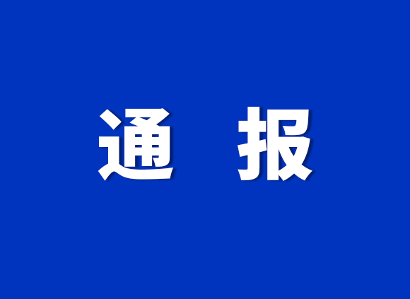 中共开云线上平台·（中国）官方网站委员会 关于巡察整改进展情况的通报